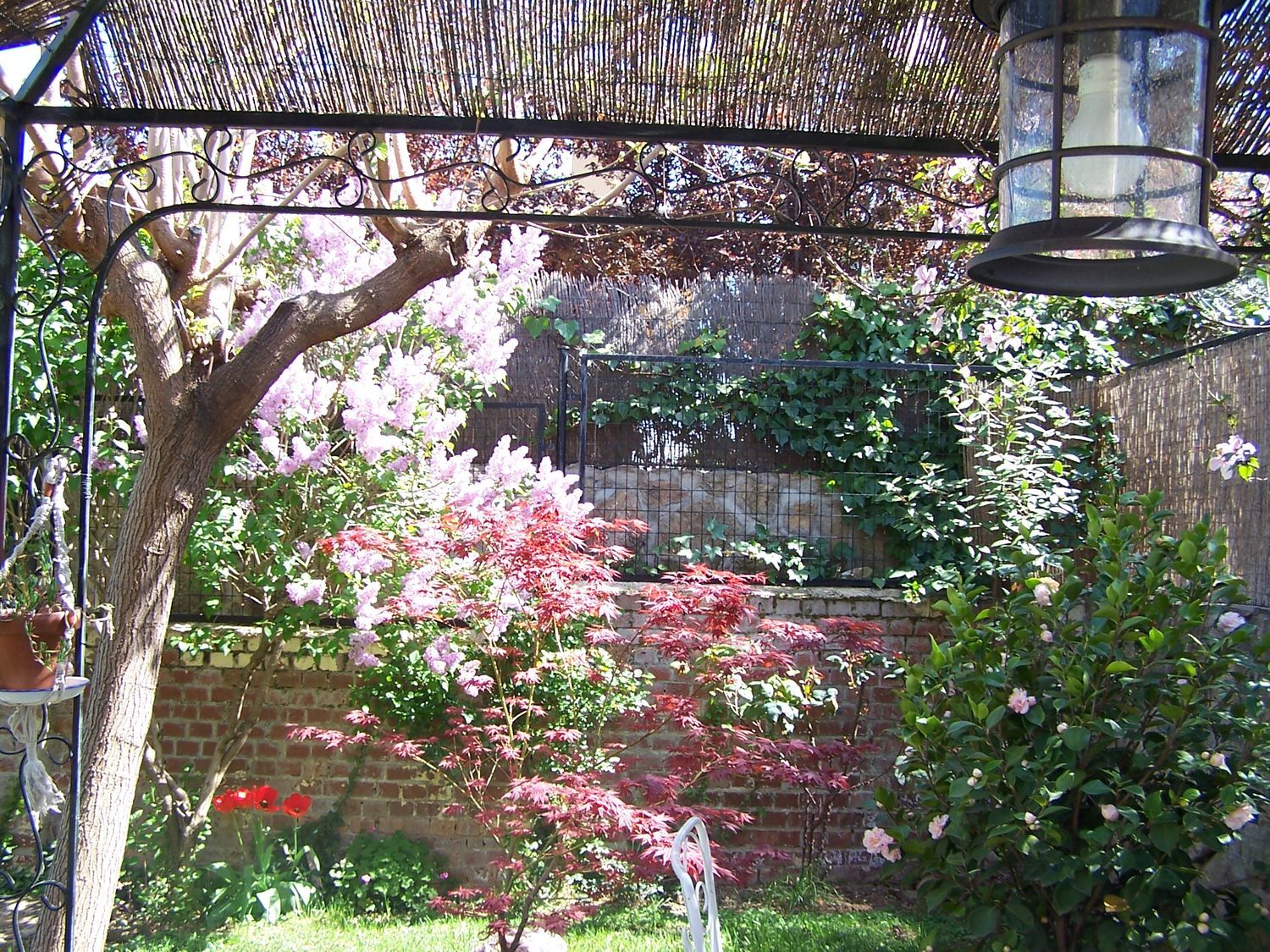 Casa o chalet independiente en Calle Buenos Aires, 7 - Foto 29