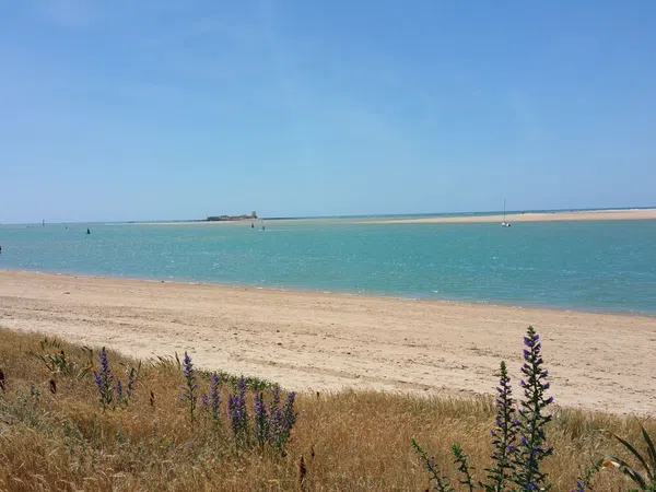 Casa independiente en calle Codorniz, 510 - Foto 33