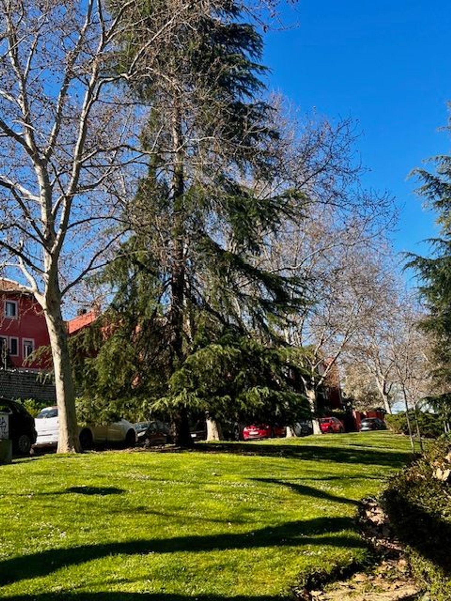 Piso en calle Aviador Franco, 12 - Foto 19