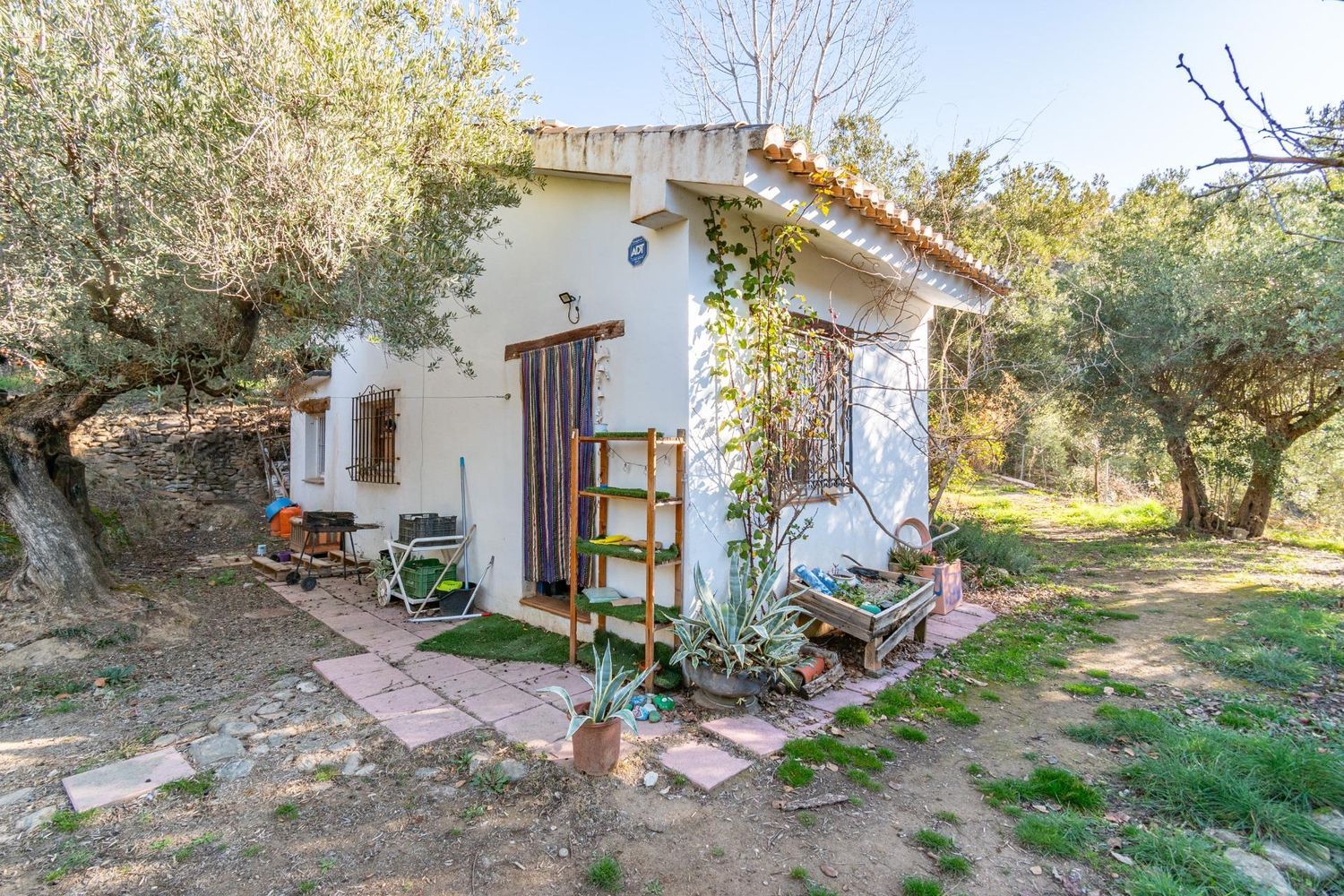 Cortijo en Solana s/n - Foto 9
