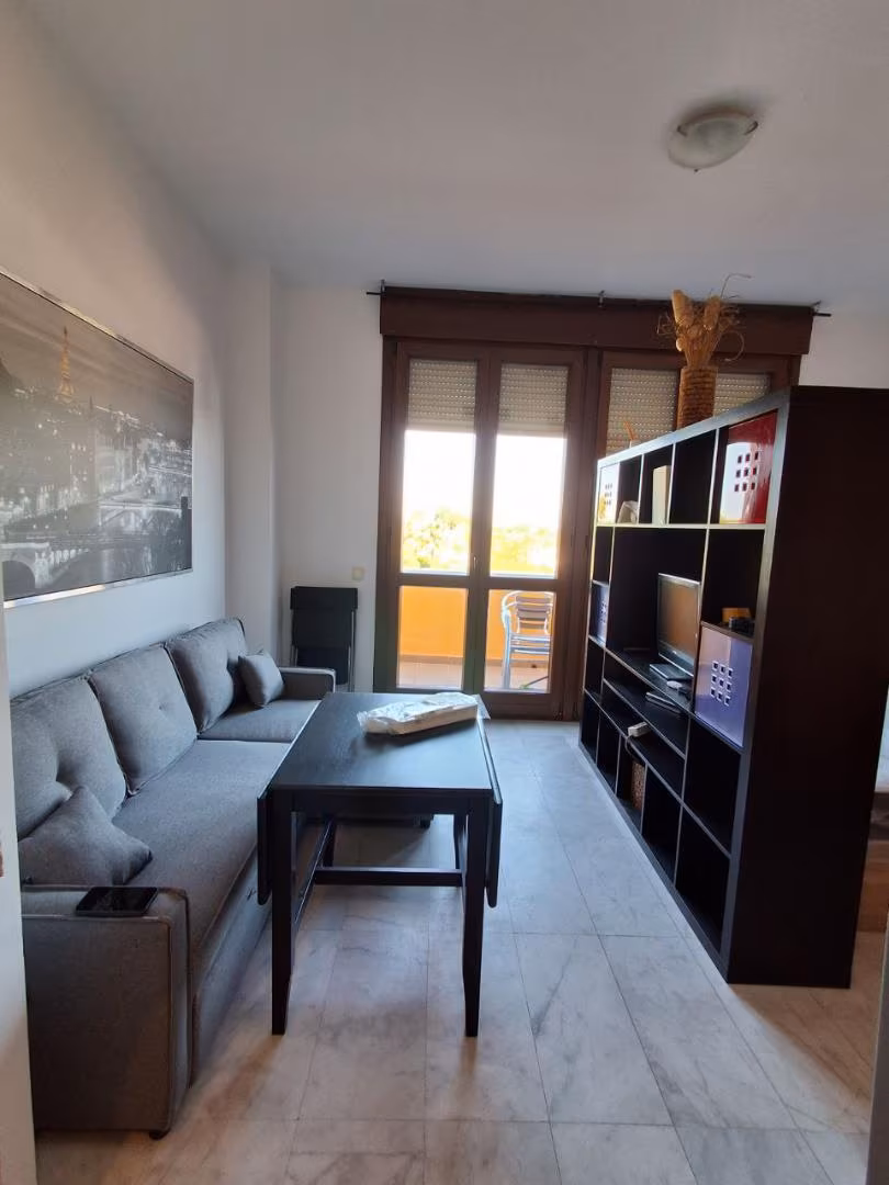 Estudio en  Calle Secoya s/n - Foto 19