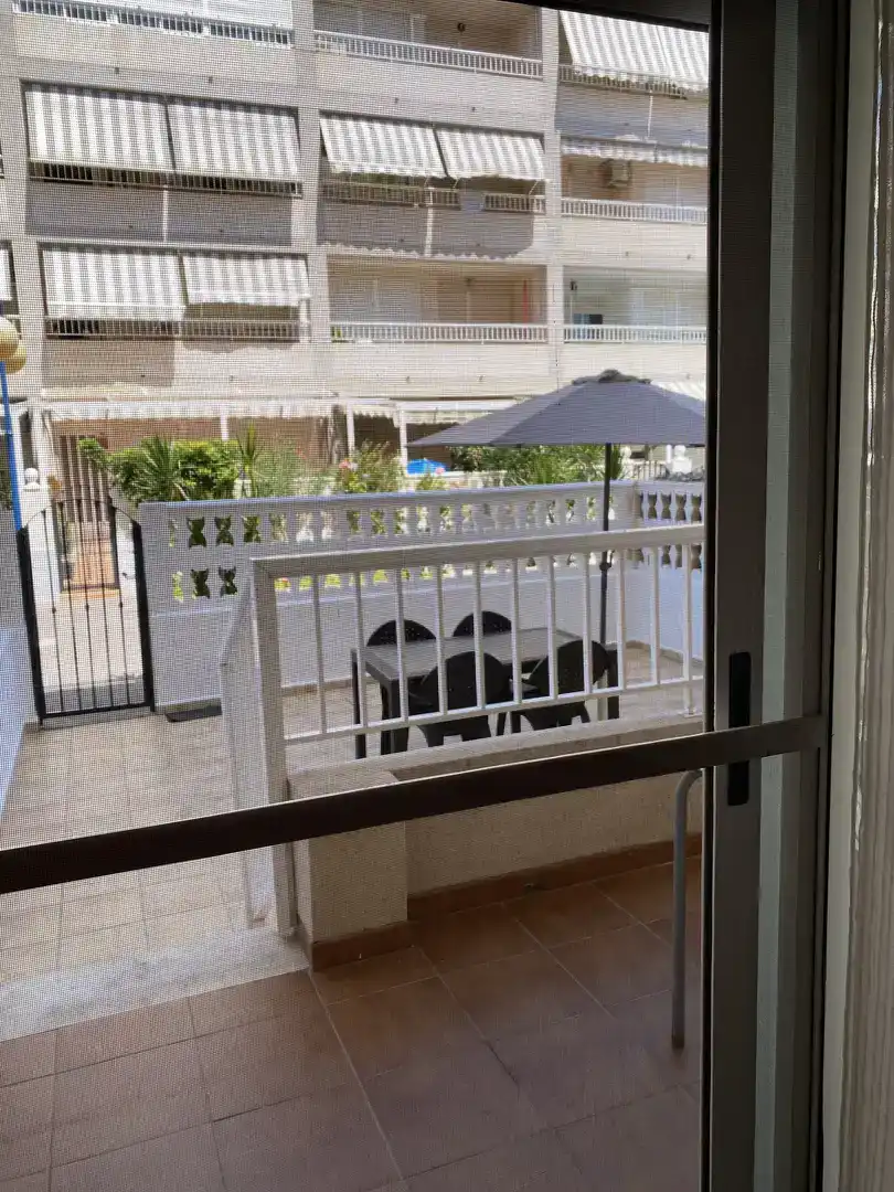 Planta baja en  Carrer José Segrelles 3 - Foto 14