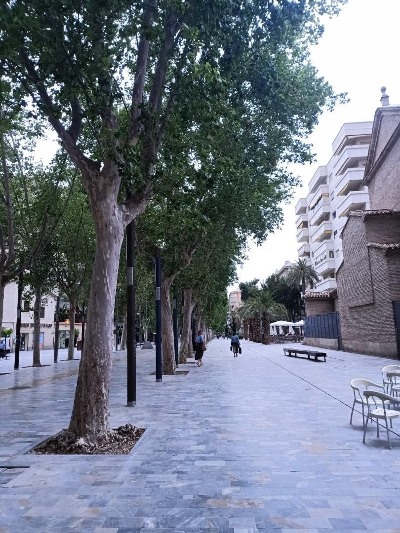 Piso en  Gran Vía Alfonso X el Sabio 2 - Foto 2