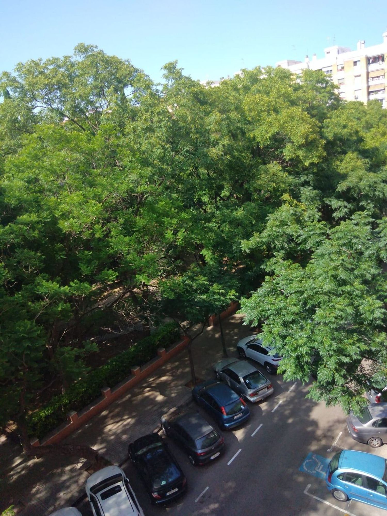 Piso en Calle de Mariano de Cavia, 43, Sant Isidre - Foto 7