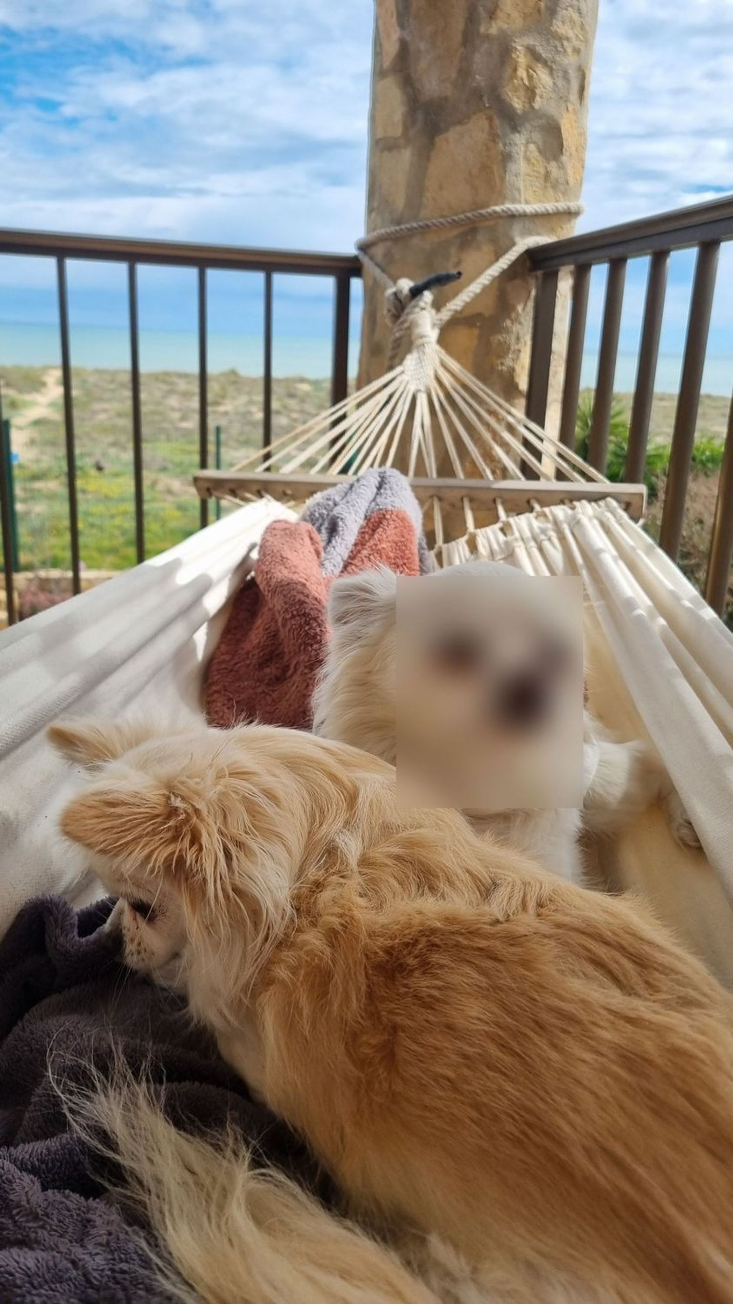 Casa independiente en sector 2b, 2 - Foto 9