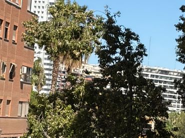 Piso en  Carrer de l'Alcalde Reig 9 - Foto 44