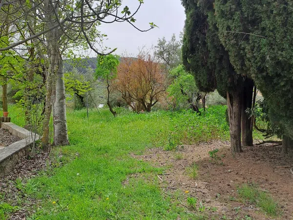 Casa de pueblo en Banyeres de Mariola - Foto 17