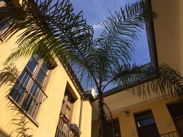 Piso en Calle Pozos Dulces, 27, Centro Histórico - Foto 4