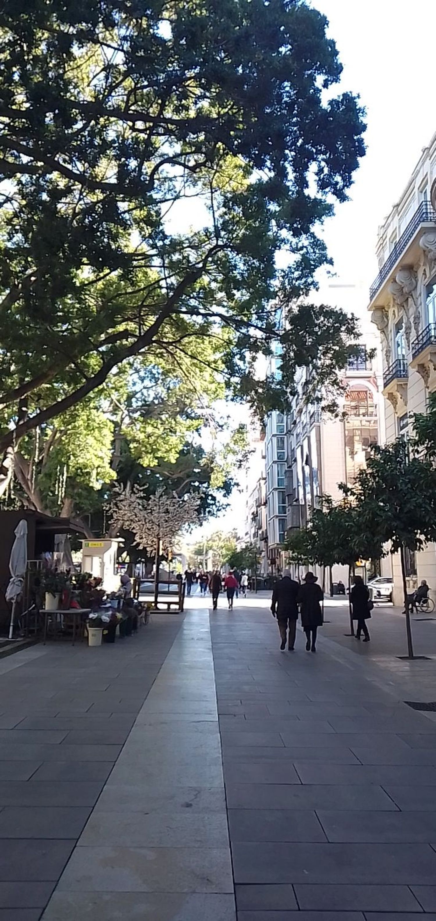 Piso en Calle Alderete, 8, El Molinillo - Capuchinos - Foto 10