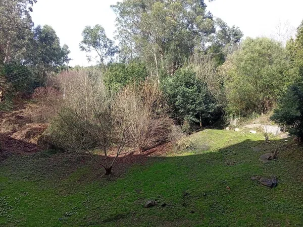 Piso en Errenteriako Bidea, 8 - Foto 21