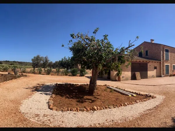 Finca rústica en Diseminado Son Xorc, 426 - Foto 40