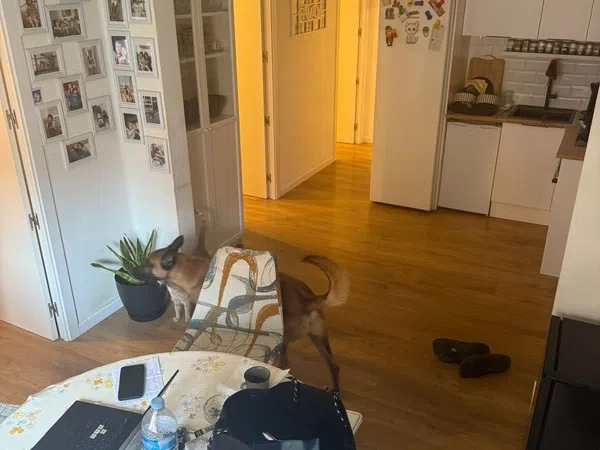 Piso en calle Mina, 38 - Foto 12