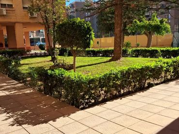 Piso en  Avenida José María Hernández Mata 6 - Foto 5