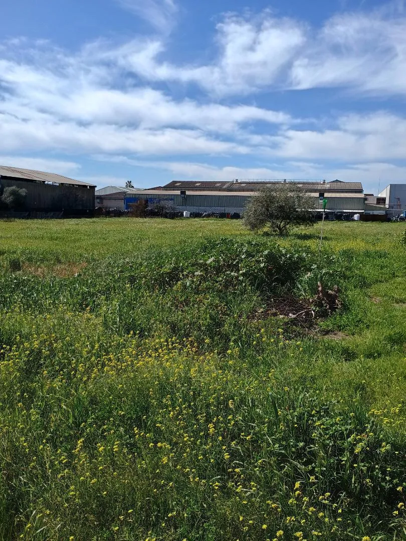 Finca rústica en  Camino de la Barquera 51 - Foto 12