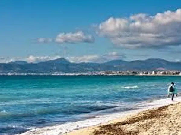 Estudio en calle de Miquel Pellisa, 23