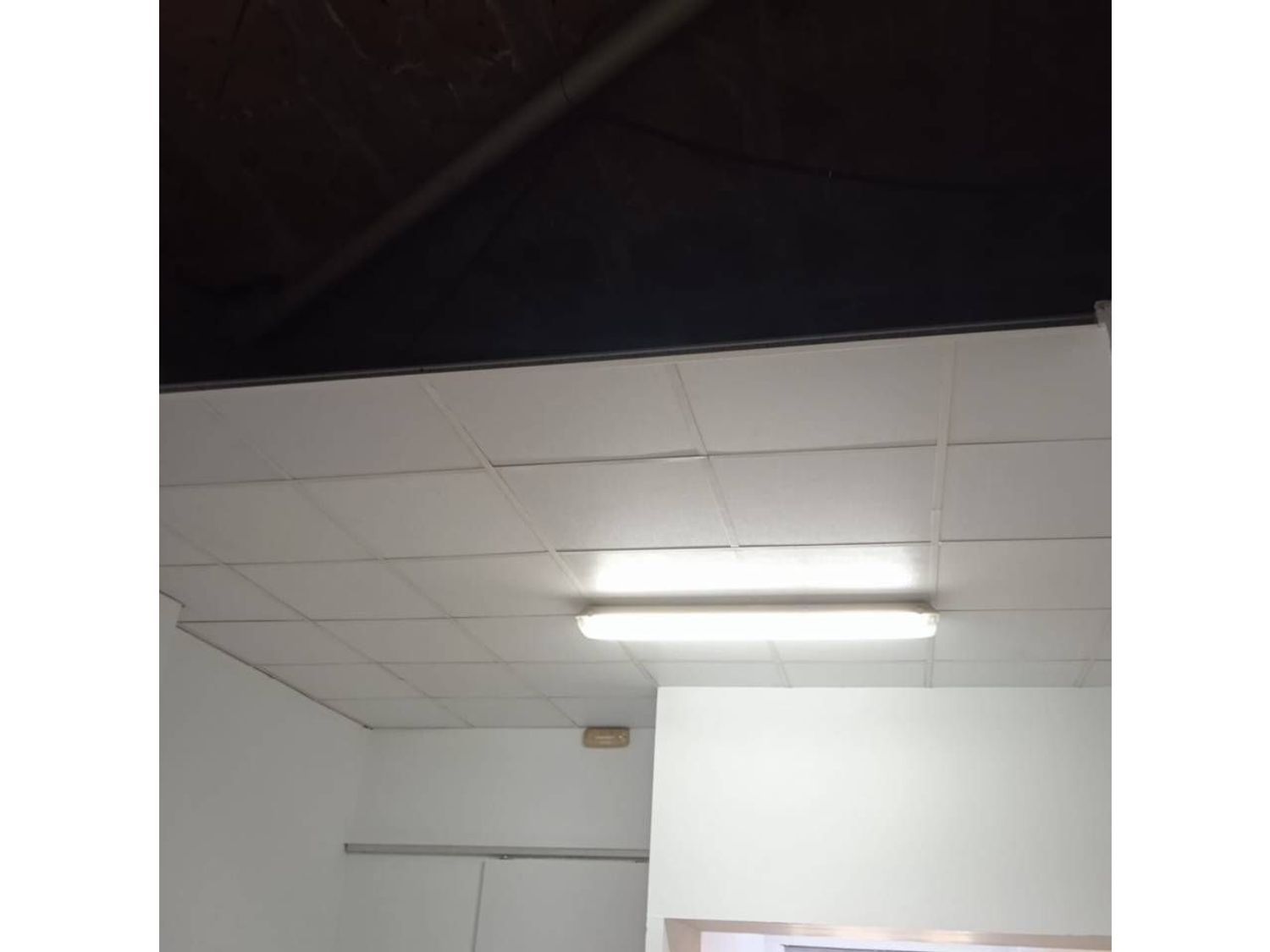 Local en Avenida de la Concòrdia, La Concòrdia - Foto 4