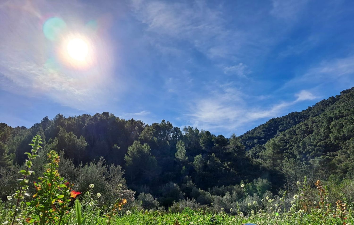 Casa rural en Camino Matilde polígono 9, 24 Parcela 24 - Foto 7