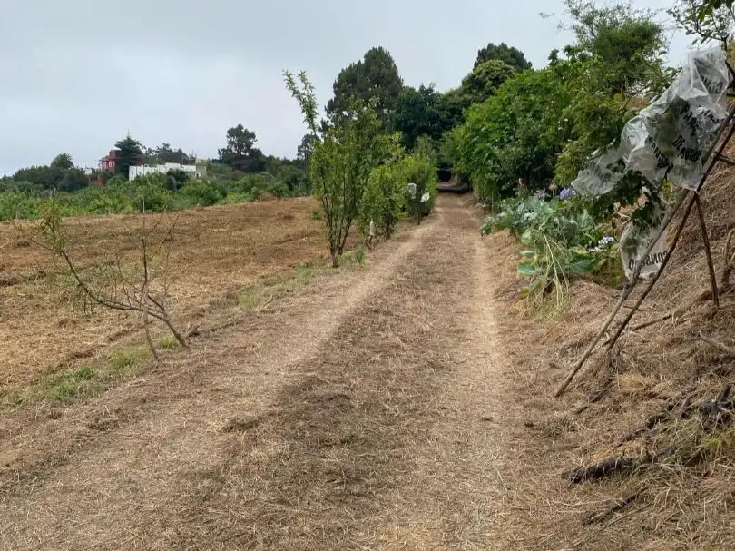 Finca rústica en  Camino el Cribo 8 - Foto 9