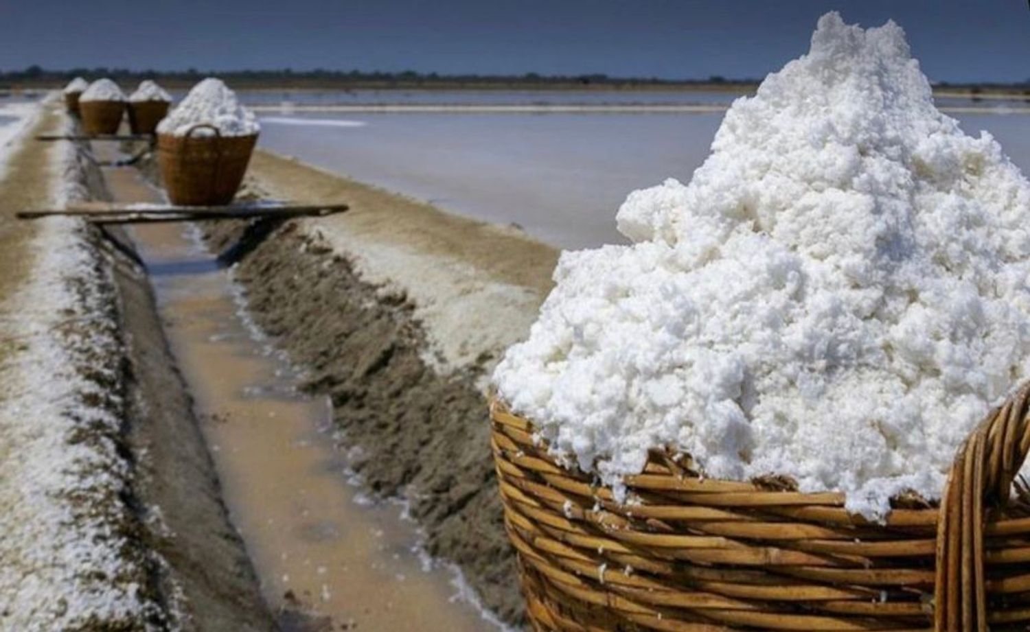 Piso en Costa de la Pols, 9 - Foto 21