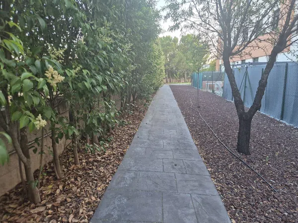 Piso en Camino el Olivar, 25, Las Sedas - El Olivar, Las Sedas - El Olivar - Foto 35