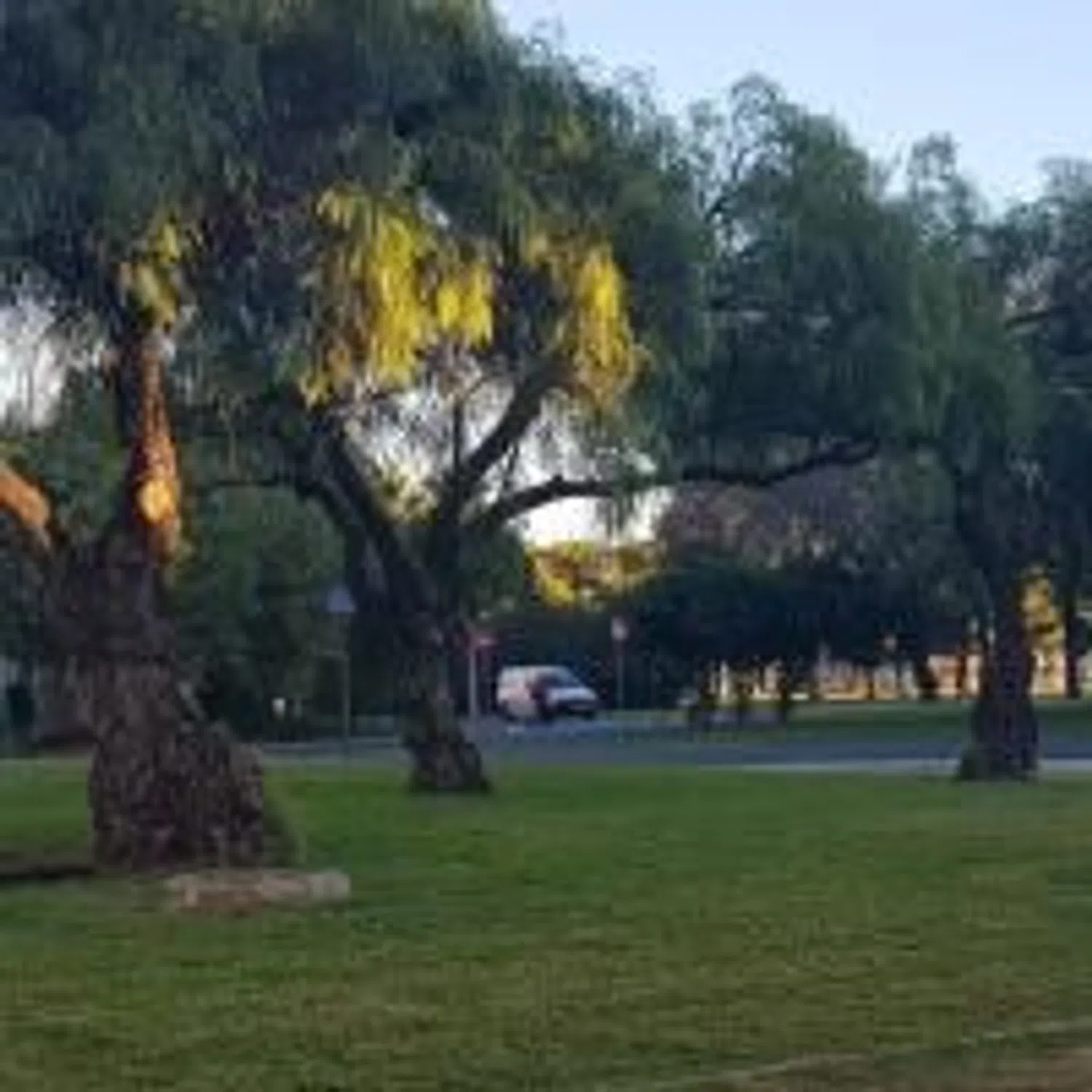 Piso en calle Eufrates, 3 - Foto 16