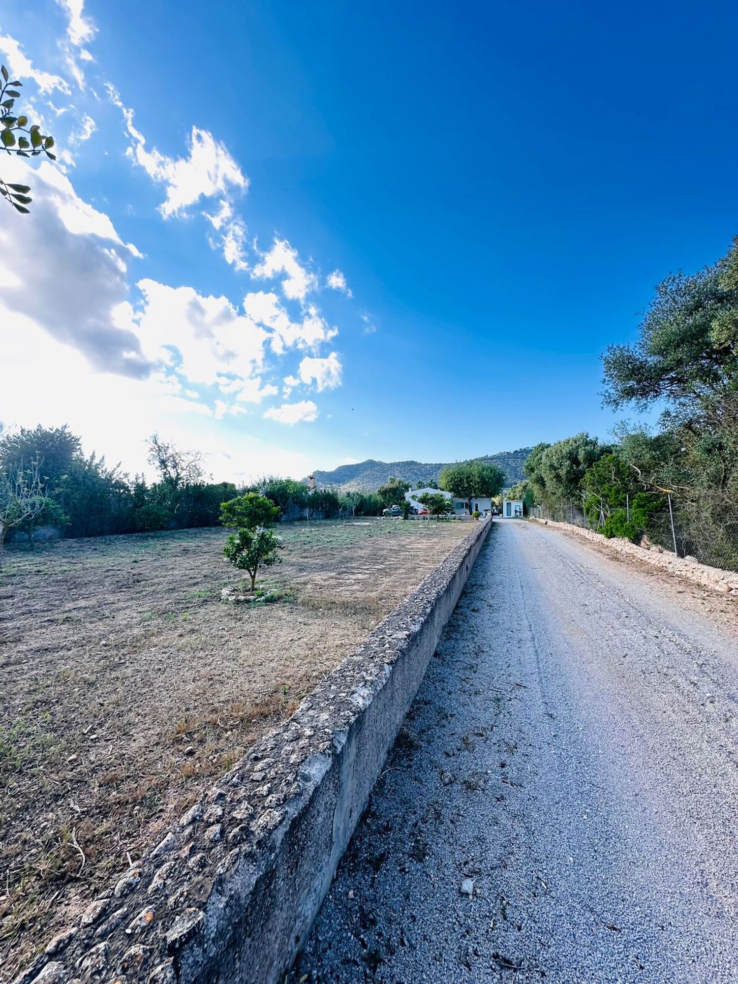 Finca rústica en Lugar Poligono 11, 639 - Foto 14