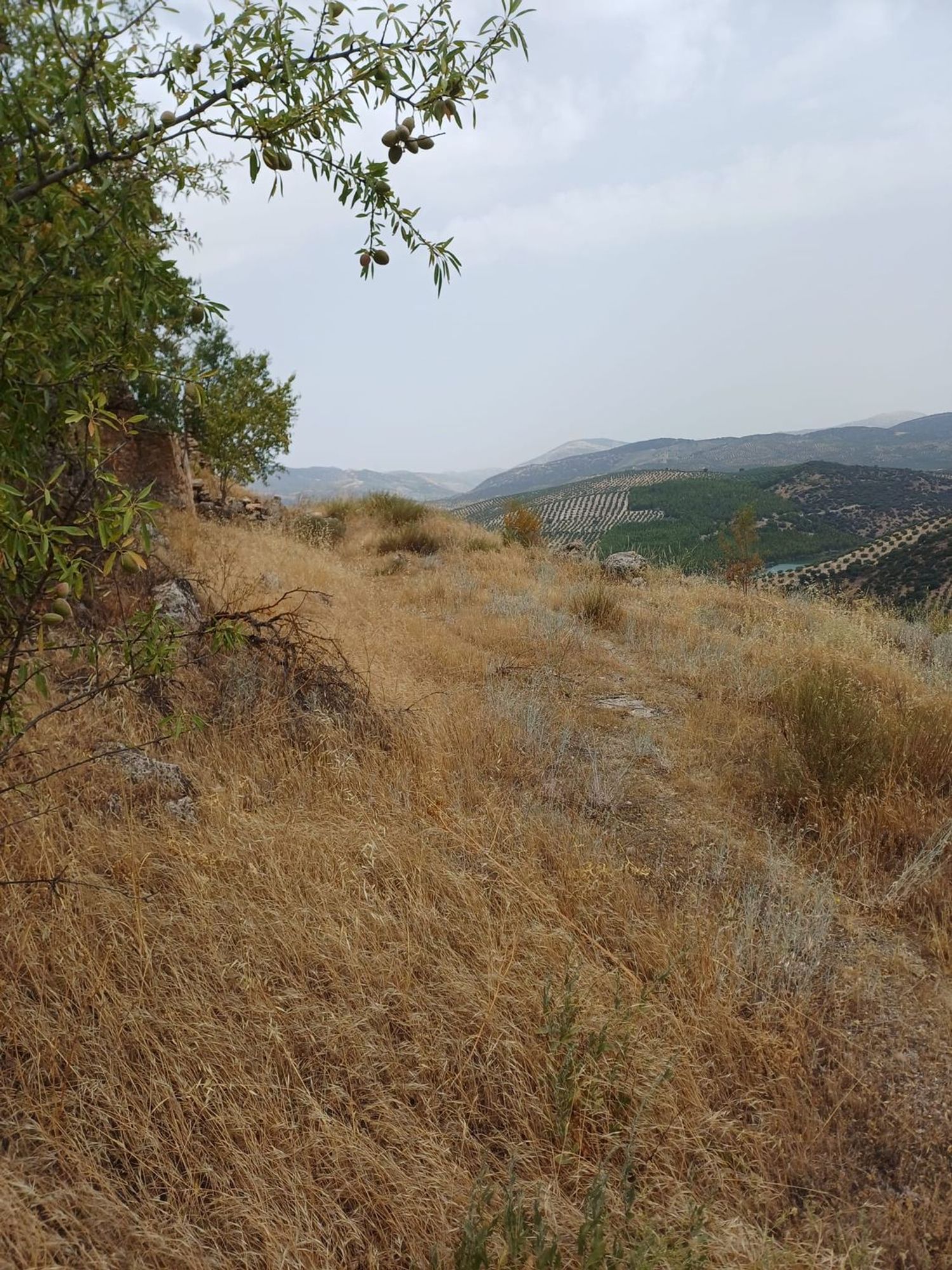 Cortijo en Cortijo en Unnamed Road s/n - Foto 9