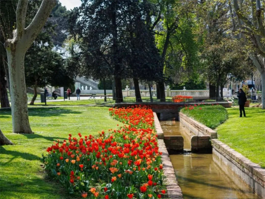 Piso en  Vía de Ramón Pignatelli 45 - Foto 24