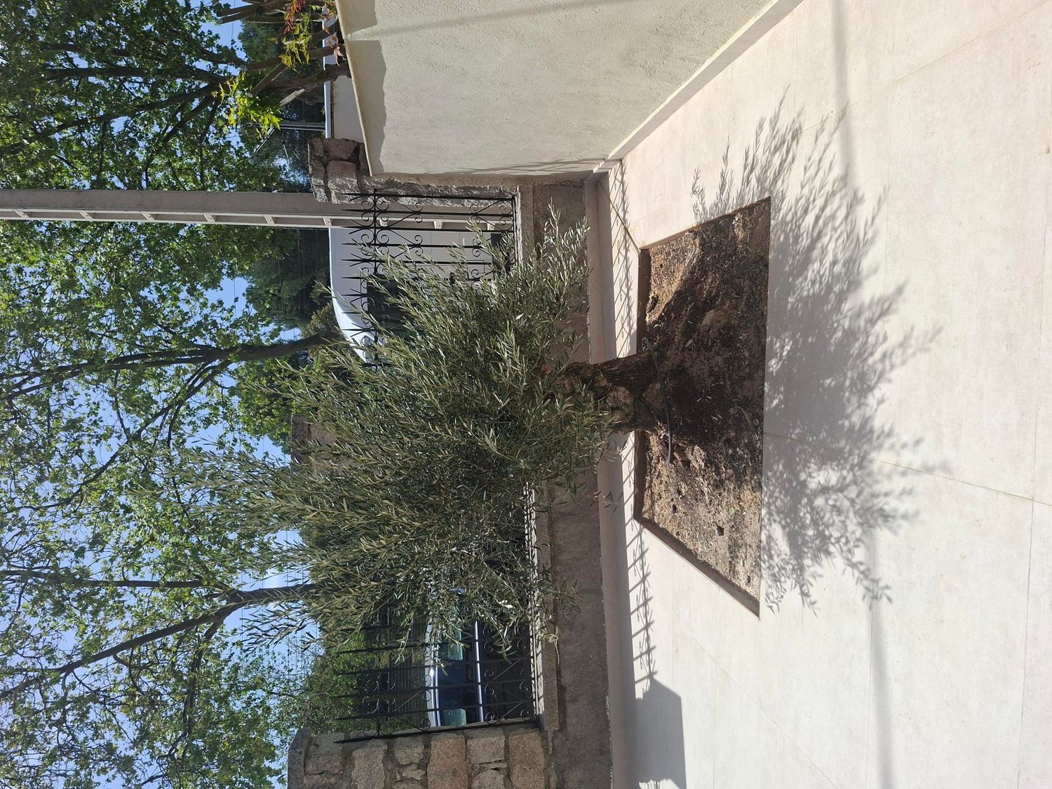 Chalet pareado en calle de Cuevas del Valle, 32 Bis - Foto 3