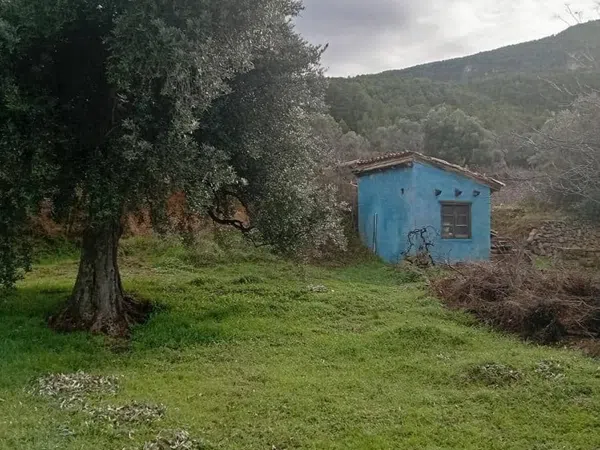 Masía en Masía en Camino del Pantano, 34 - Foto 5