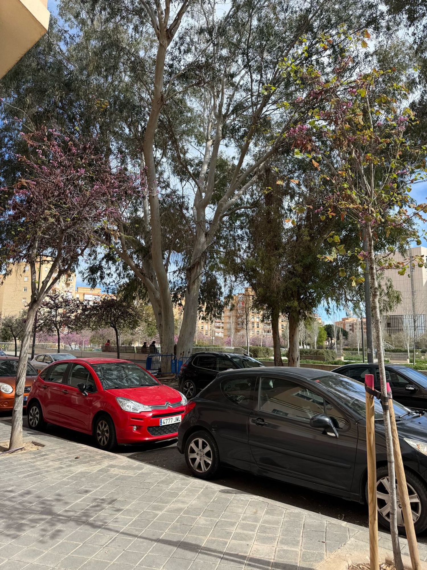 Piso en calle Deportista Ángel Aznar, 5 - Foto 26