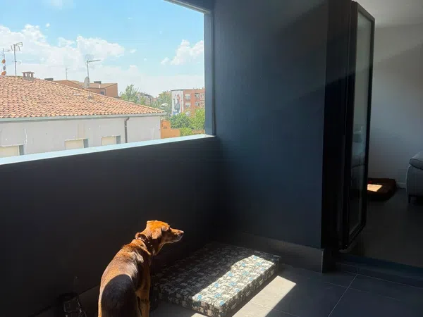 Piso en Calle Valentín Gardeta, 21, Perpetuo Socorro, Perpetuo Socorro - Foto 2