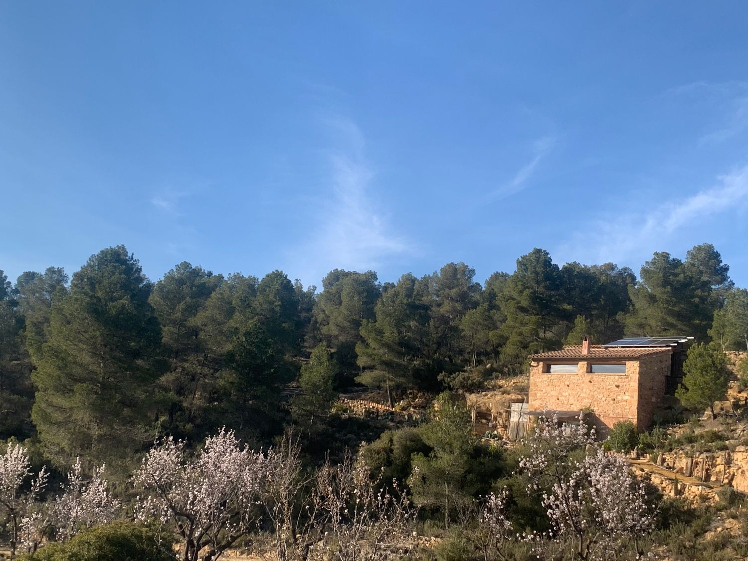 Casa o chalet independiente en Carretera de Castellón s/n - Foto 11