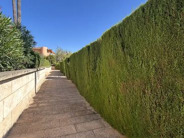 Piso en  Carrer de la Galiota 3B - Foto 2