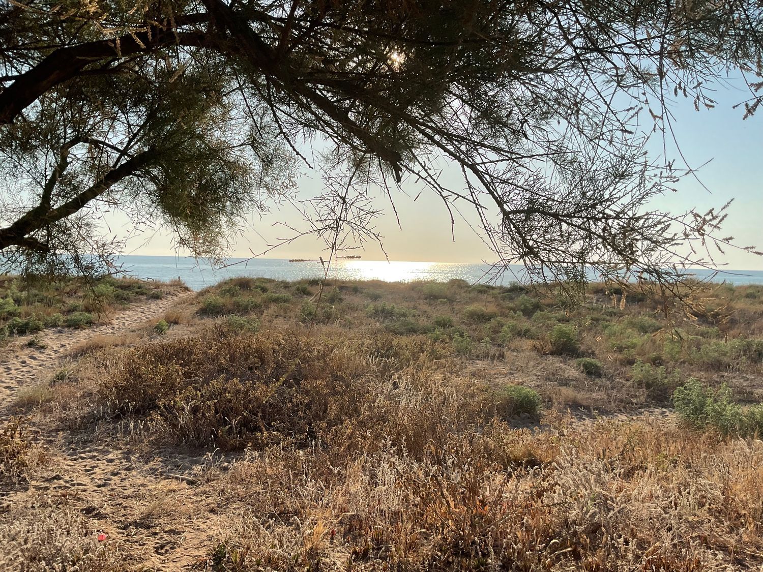 Casa independiente en plaza Marenys Sector 2-b, 523 C - Foto 23