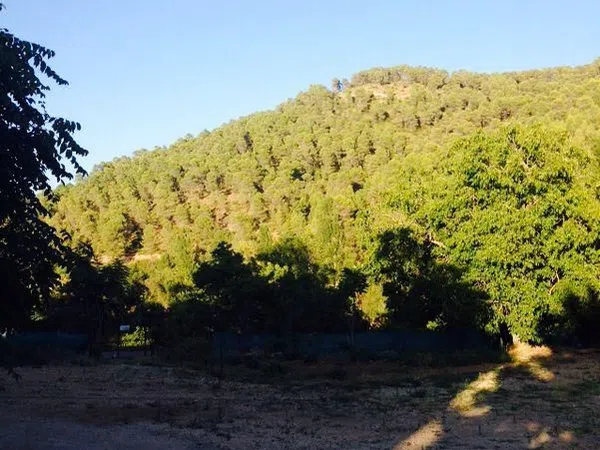 Cortijo en Carretera a Cortijos Nuevos s/n - Foto 19
