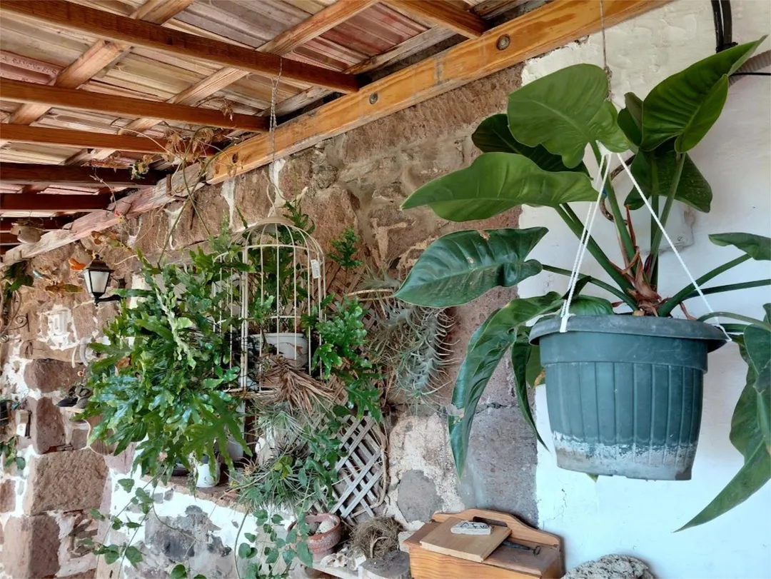 Finca rústica en calle Calle Espíritu Santo 15 - Foto 49