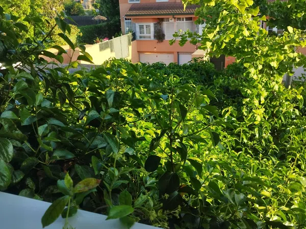 Chalet adosado en calle Gregorio Ordóñez, 12 - Foto 25