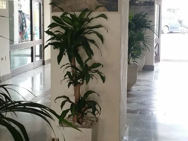 Piso en Avenida Juan Melgarejo, 6, Vistahermosa - Foto 8
