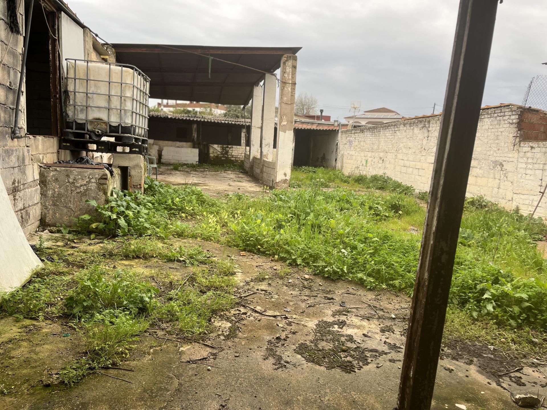 Finca rústica en  Urbanizacion Campiñuela Baja 6 - Foto 13