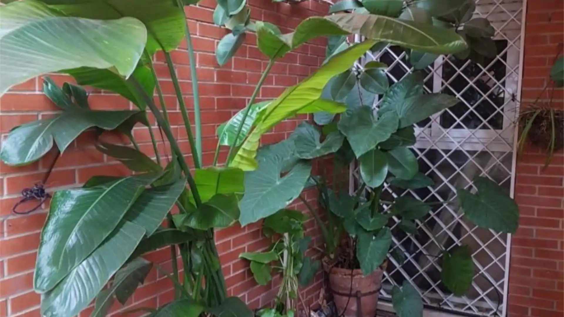 Piso en  Calle Cueva del Gato 3 - Foto 4