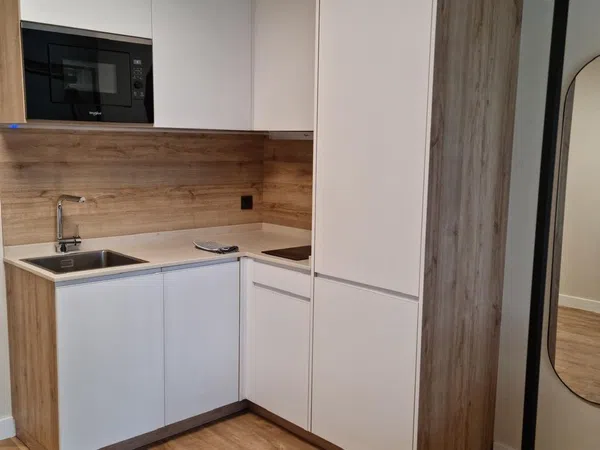 Estudio en calle Aranzabal, 8 bajo - Foto 16