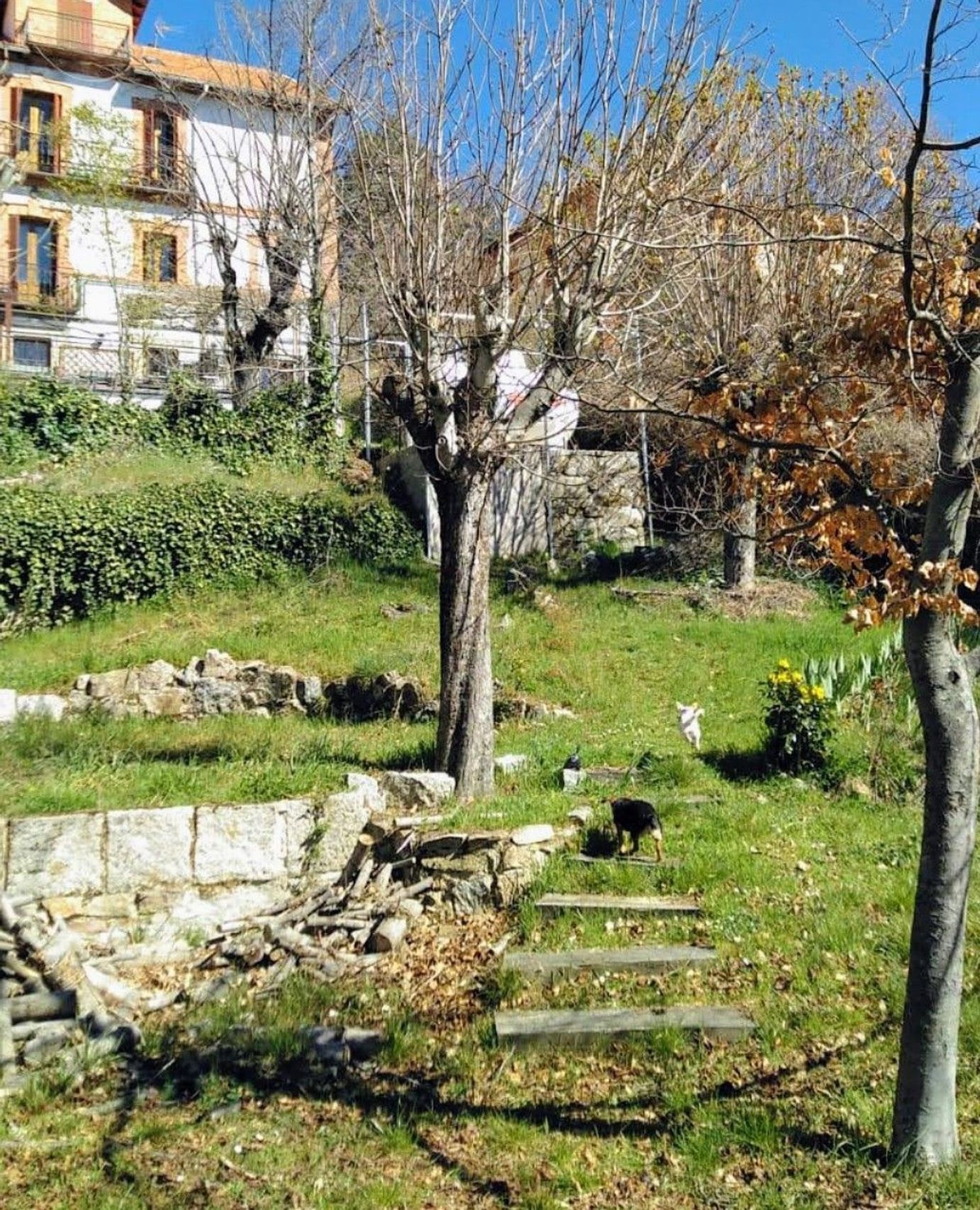 Piso en Cercedilla - Foto 15