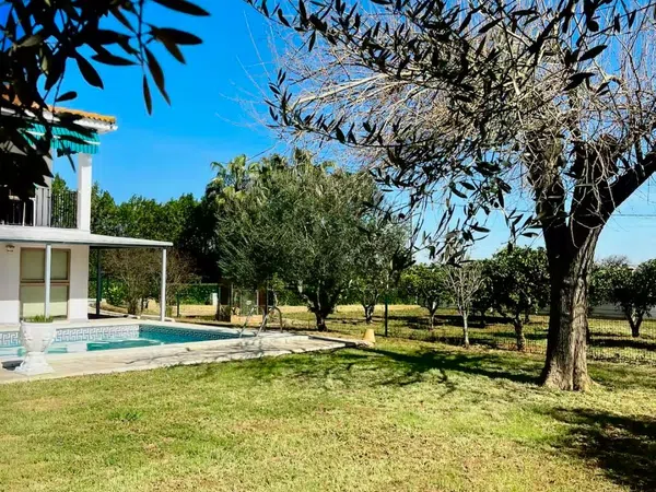 Casa o chalet independiente en Camino de alcarraites s/n - Foto 15