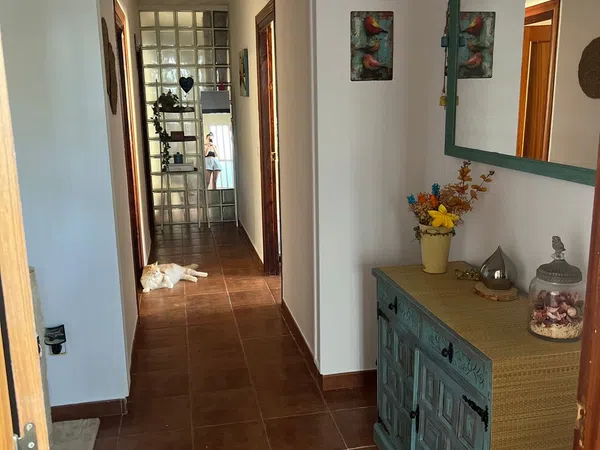 Casa o chalet independiente en Cogolludo - Foto 7