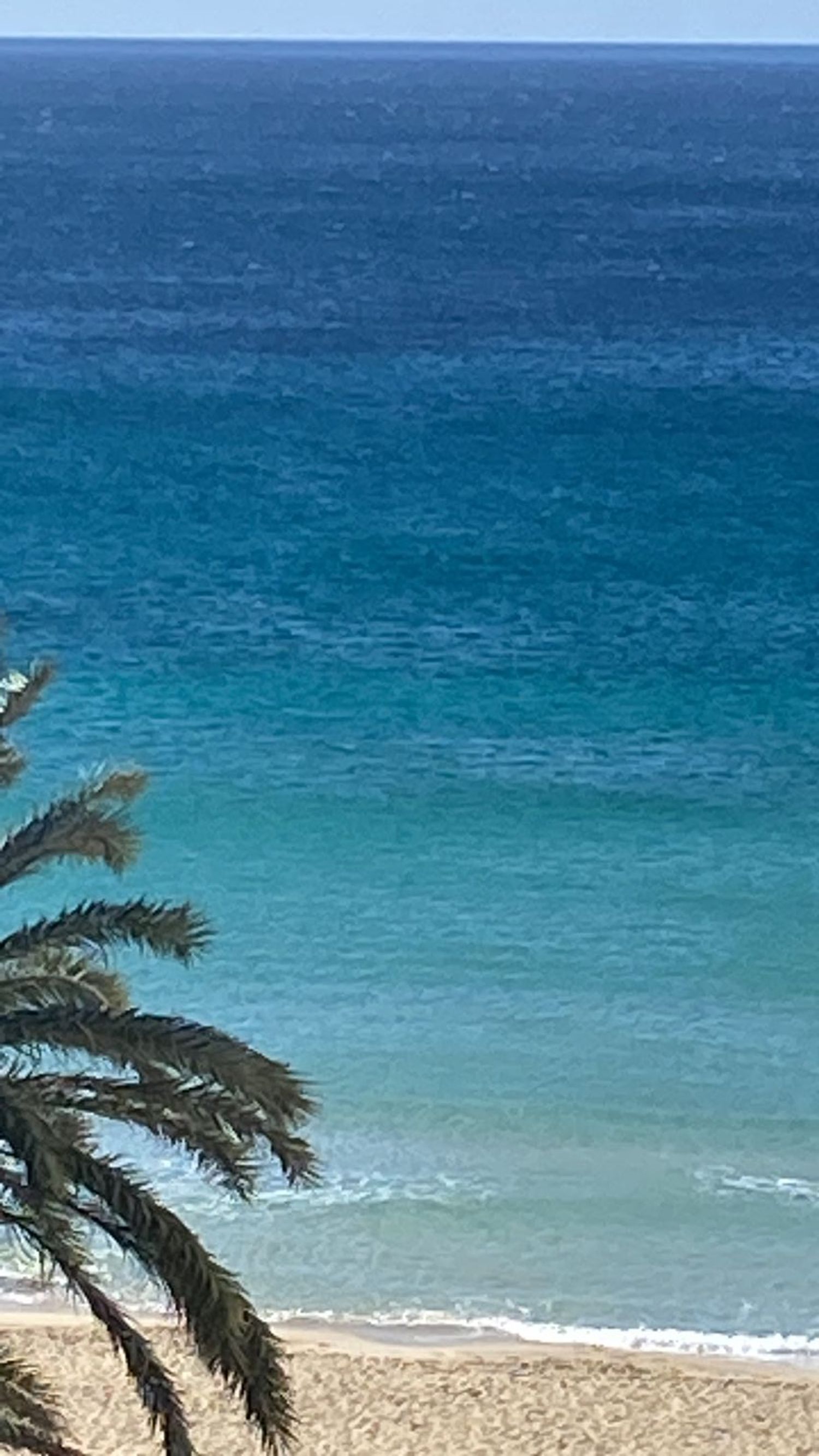 Estudio en avenida de Joan Miró, 275 Sn - Foto 3