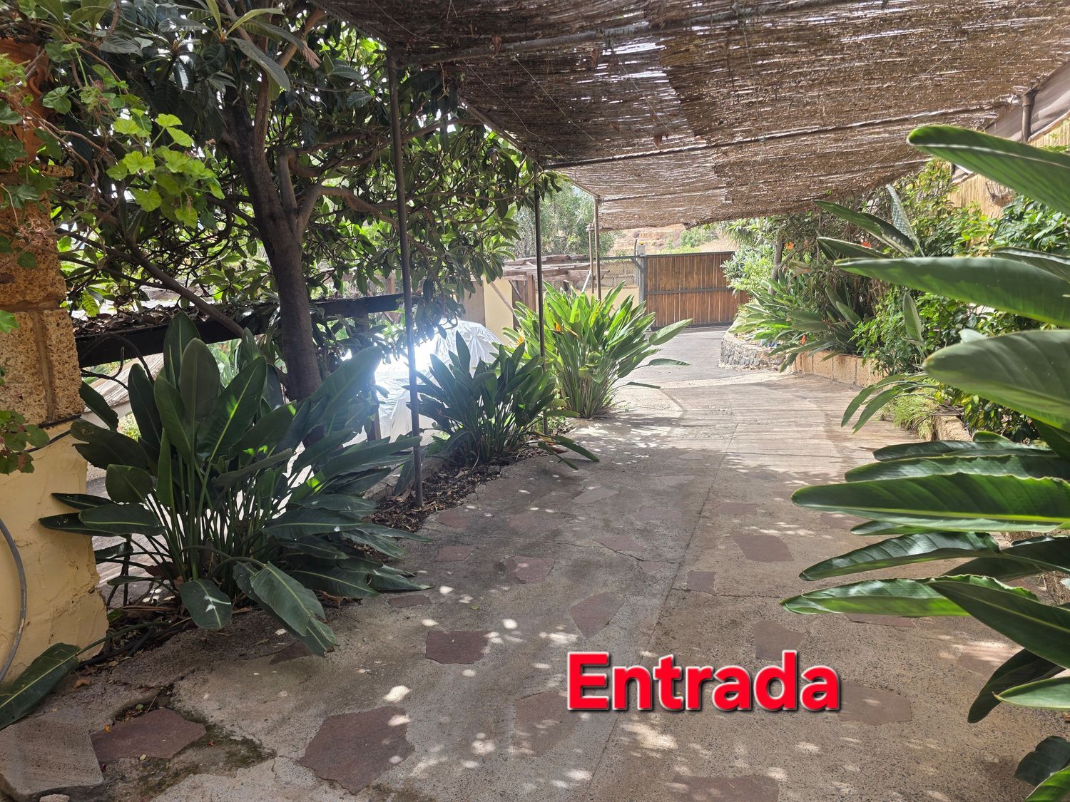Finca rústica en Camino Los Barranquillos, 9 - Foto 5