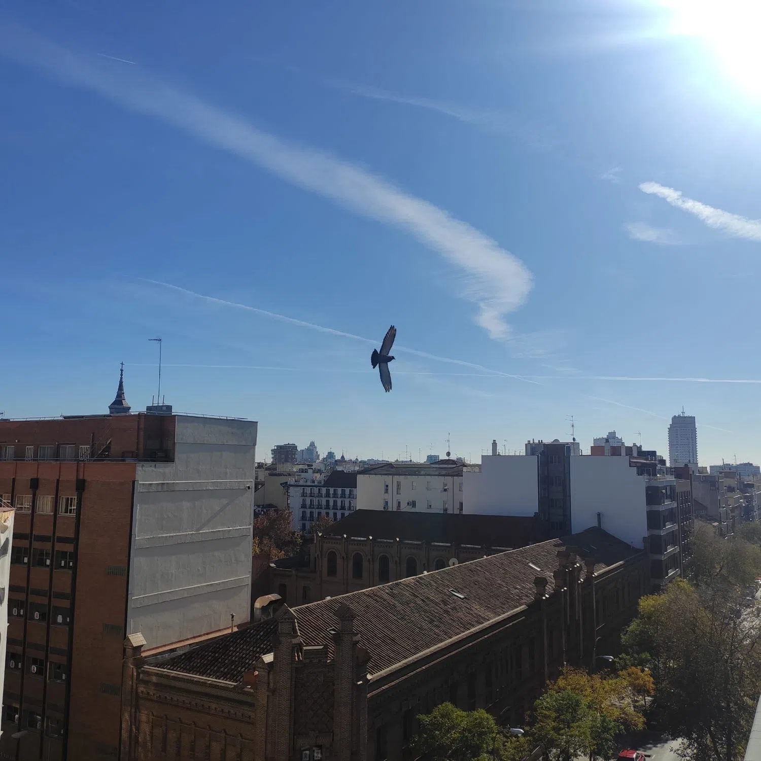 Ático en calle de fernando el católico, 54 - Foto 5