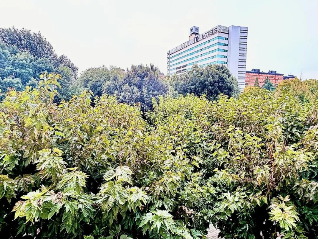 Piso en  Avenida de Sancho el Fuerte 38 - Foto 10