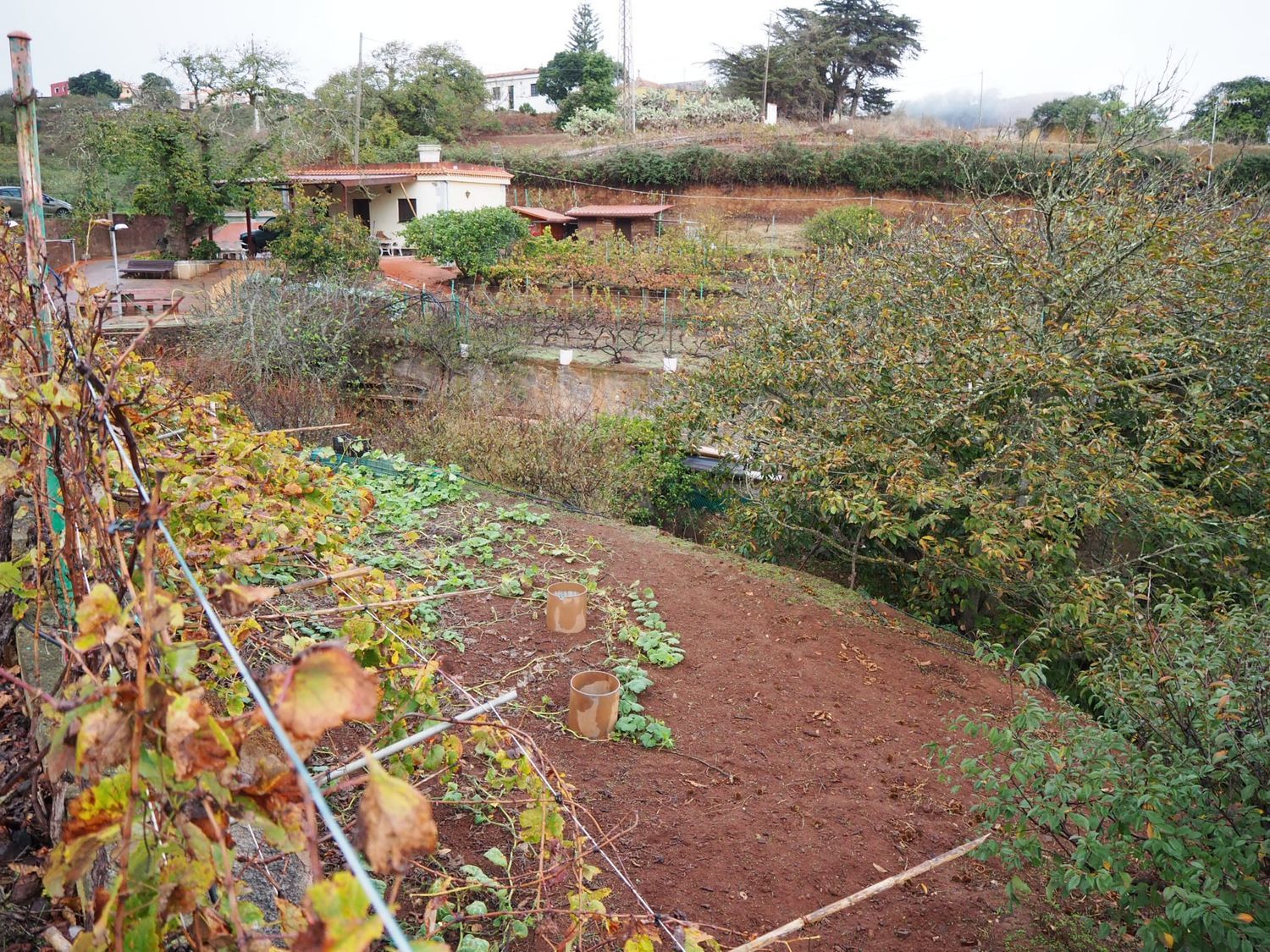 Casa independiente en calle el Sino, 37 - Foto 13